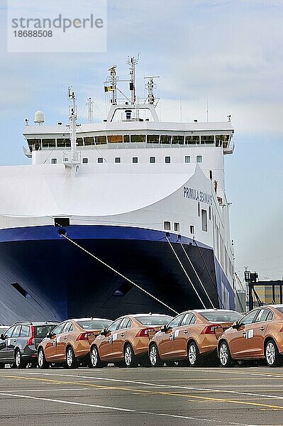 Fahrzeuge aus dem Montagewerk von Volvo Cars warten auf die Verladung auf das Roll on Roll off Schiff im Seehafen von Gent  Belgien  Europa
