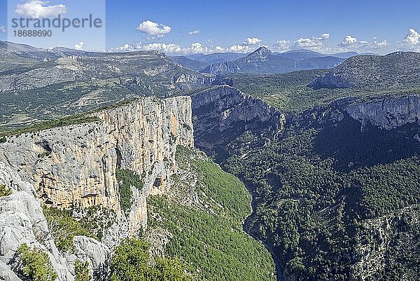 Gorges du Verdon  Schlucht des Verdon  Alpes de Haute Provence  Provence Alpes Côte d'Azur  Frankreich  Europa