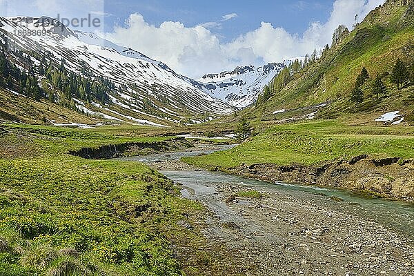 Riedingbach mit schneebedeckten Berge  Naturpark  Riedingtal  Zederhaus  Lungau  Salzburg