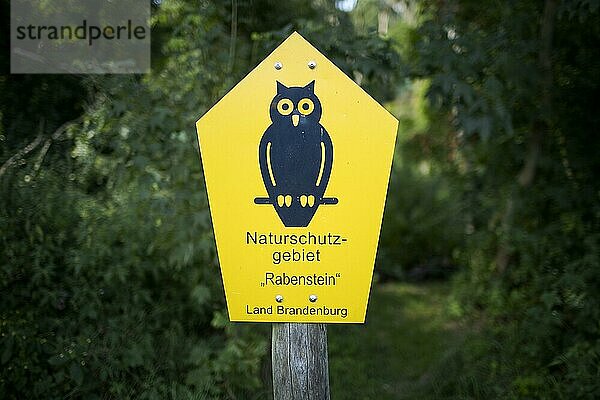 Naturschutzgebiet bei der Burg Rabenstein.  Ahornntal  Deutschland  Europa