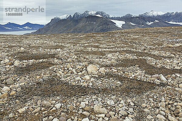 Teilweise geschmolzene und eingestürzte Lithalsas  im Permafrostboden aufgeworfene Hügel  die kreisförmige Strukturen in der Tundra hinterlassen haben  Svalbard Archipelago  Norwegen  Europa