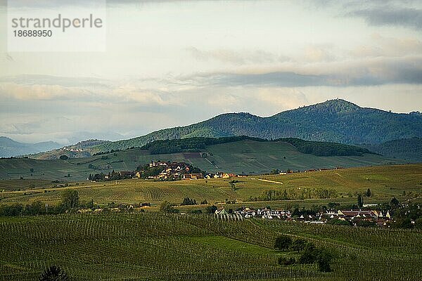 Mittelalterliches Dorf in den Weinbergen  Ribeauvillé  Grand Est  Haut-Rhin  Elsass  Frankreich  Europa