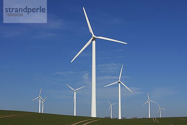 Windturbinen eines Windparks auf einem Feld vor blauem Himmel