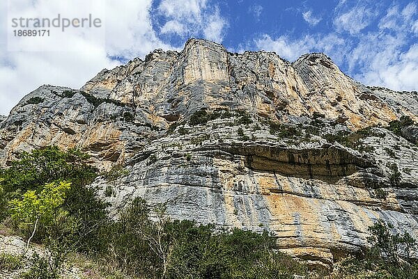Vertikaler Kalksteinfelsen vom Sentier Martel aus gesehen in den Gorges du Verdon  Schlucht des Verdon  Provence Alpes Côte d'Azur  Frankreich  Europa