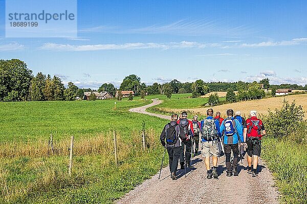 Gruppe wandernder Männer  die an einem sonnigen Sommertag auf einem kurvenreichen Feldweg in der Natur spazieren gehen  Schweden  Europa