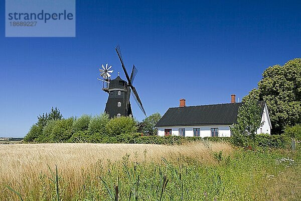 Die alte Windmühle Övraby mölla in Oevraby  Skåne  Schonen  Schweden  Skandinavien  Europa
