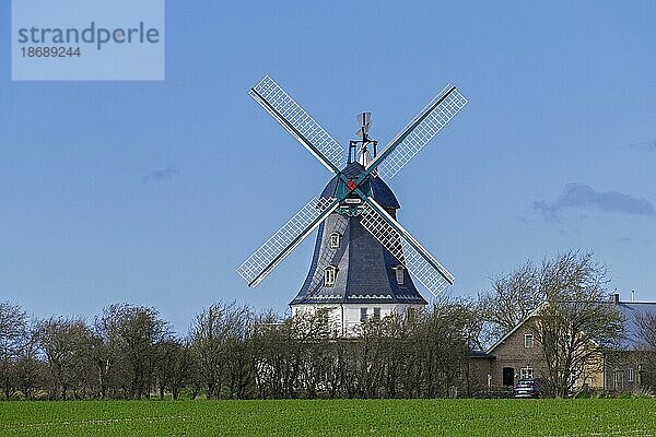 Windmühle in Borgsum auf der Insel Föhr im Kreis Nordfriesland  Nordfriesland  Schleswig Holstein  Deutschland  Europa