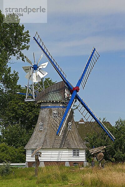 Traditionelle Windmühle in Neufeld  Dithmarschen  Schleswig Holstein  Deutschland  Europa