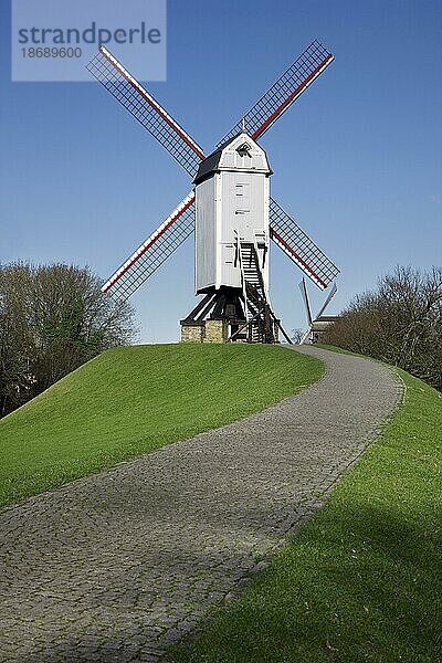 Die Holzwindmühle Bonne Chiere in Brügge  Belgien  Europa