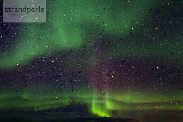 Nordlicht  Aurora borealis  spektakuläres Wetterphänomen  das ein natürliches Lichtspiel am nächtlichen Himmel zeigt  Norwegen  Skandinavien  Europa