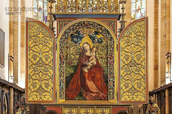 Madonna im Rosenhag von Martin Schongauer im Innenraum der Dominikanerkirche in Colmar  Elsass  Frankreich  Europa