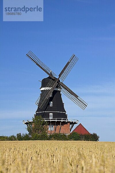 Traditionelle Windmühle auf einem Feld in Krageholm  Skåne  Schweden  Skandinavien  Europa