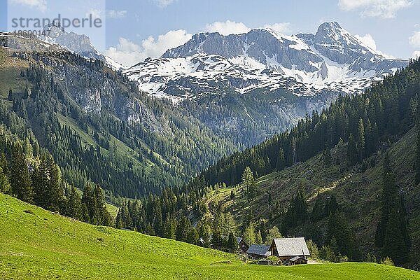 Königalm mit Mosermandl und Faulkogel  schneebedeckte Berge  Naturpark  Riedingtal  Zederhaus  Lungau  Salzburg