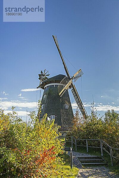 Geschliffene Kittelmühle  holländischer Windmühlentyp in Benz  Gemeinde auf der Insel Usedom  Landkreis Vorpommern Greifswald  MecklenburgVorpommern Deutschland