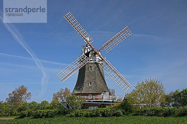 Windmühle in Oldsum auf der Insel Föhr  Nordfriesland  Deutschland  Europa
