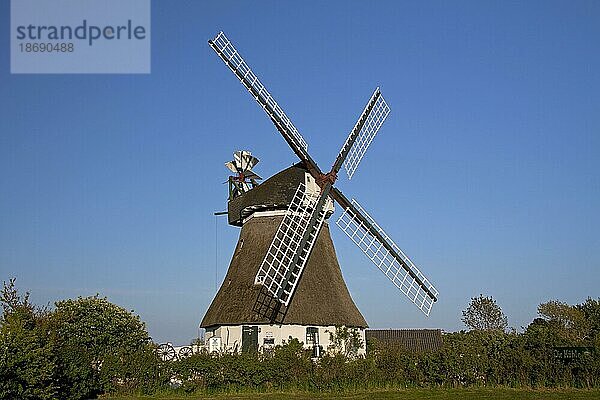 Windmühle in Wrixum auf der Insel Föhr  Nordfriesland  Deutschland  Europa