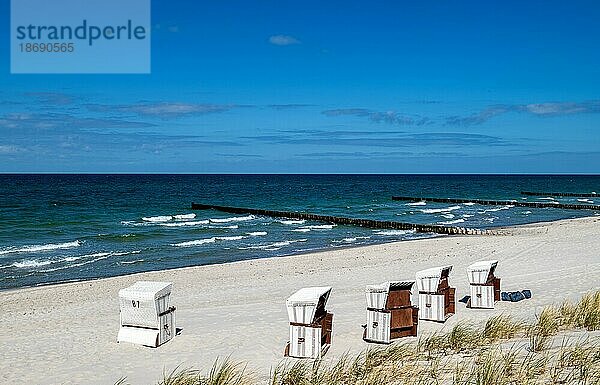 Strandkörbe am Sandstrand von Ahrenshoop  Ostseeseite  Fischland-Darß-Zingst  Ostseeküste  Mecklenburg-Vorpommern  Deutschland  Europa