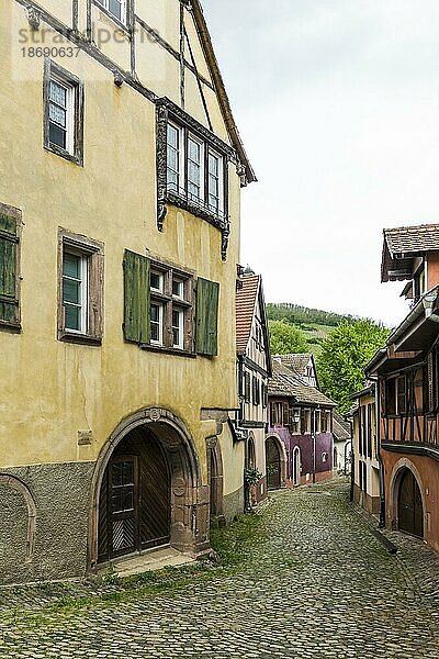 Mittelalterliche bunte Fachwerkhäuser  Kaysersberg  Grand Est  Haut-Rhin  Elsass  Frankreich  Europa