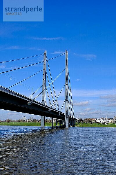 Ausblick über den Rhein mit Brücke  Düsseldorf  Deutschland  Europa