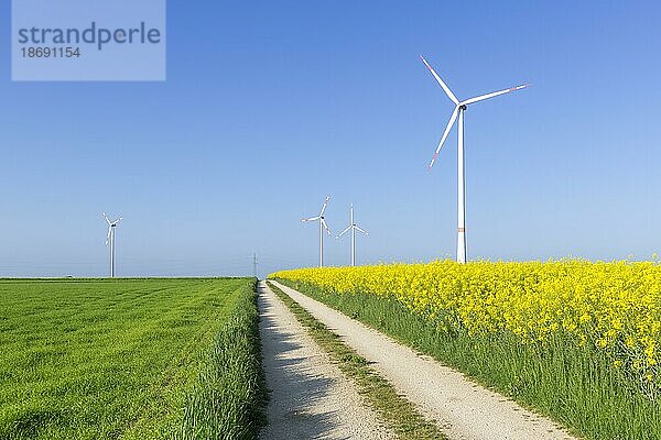 Symbolbild Windenergie  Energiewende  Windpark  Windkraftanlage  Windrad  Rapsfeld  Feldweg  Schwäbische Alb  Baden-Württemberg
