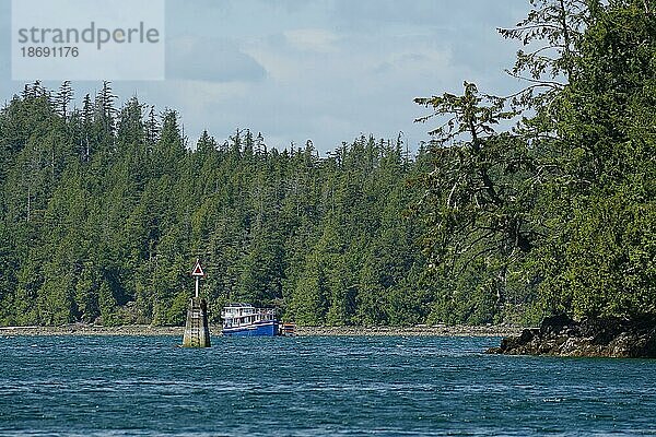 Dichter Wald und kleines Fischerboot  Nationalpark  Ucluelet  Küste  Pacific Rim National Park Reserve  Pazifik  British Columbia  Kanada  Nordamerika