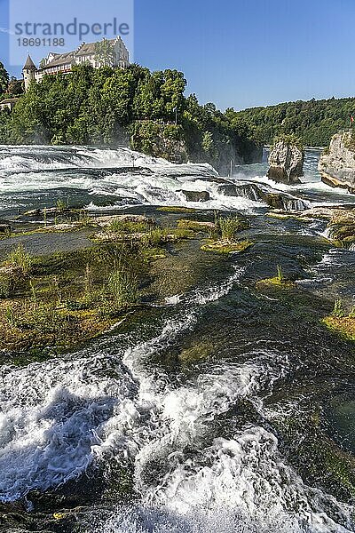 Wasserfall Rheinfall und Schloss Laufen bei Neuhausen am Rheinfall  Schweiz  Europa