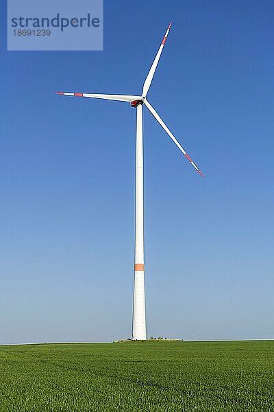 Symbolbild Windenergie  Energiewende  Windrad auf Getreidefeld  Windkraftanlage  blauer Himmel  Baden-Württemberg  Deutschland  Europa