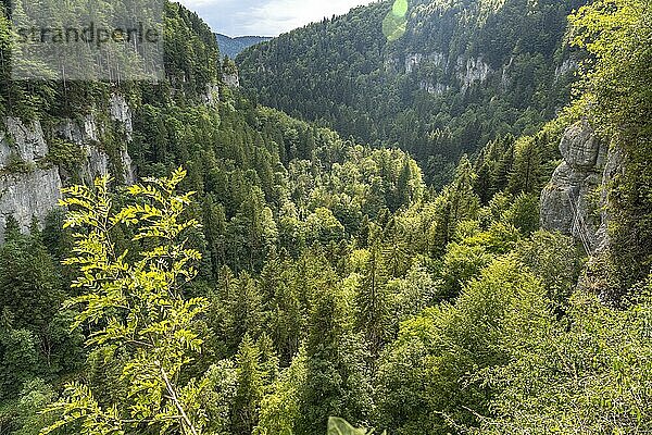 Blick in die Schlucht bei den Echelles de la Mort Todesleitern im Tal der Doubs  Charquemont  Bourgogne-Franche-Comté  Frankreich  Europa