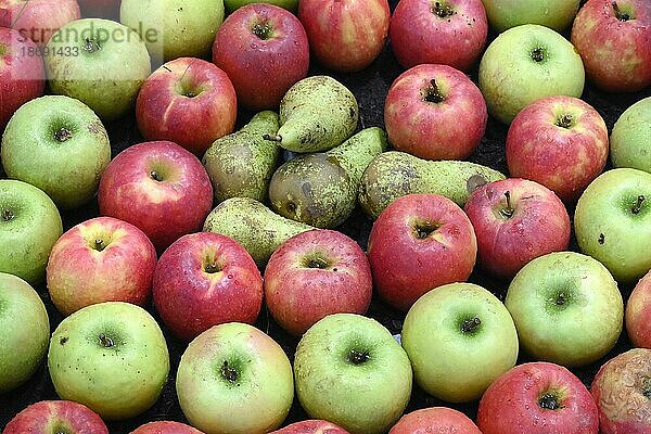 Obst Äpfel Birnen