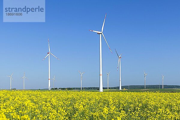 Symbolbild Windenergie  Energiewende  Windpark  Rapsfeld  Windräder  blauer Himmel  Schwäbische Alb  Baden-Württemberg