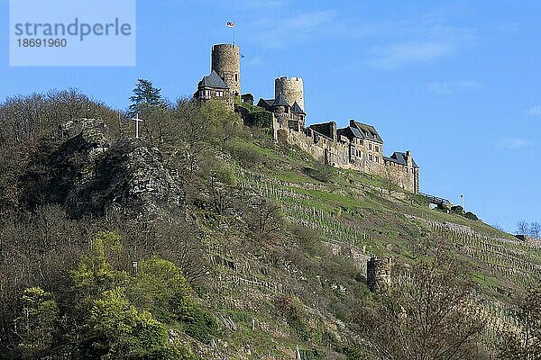 Ehemalige Burg Thurant  erbaut 1197  heute Burgruine  Alken an der Mosel  Rheinland-Pfalz  Deutschland  Europa