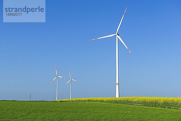 Symbolbild Windenergie  Energiewende  Windräder auf Rapsfeld  Windkraftanlage  blauer Himmel  Baden-Württemberg  Deutschland  Europa
