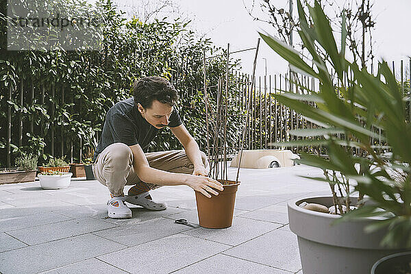 Mann mit Topfpflanze bei der Gartenarbeit auf der Terrasse