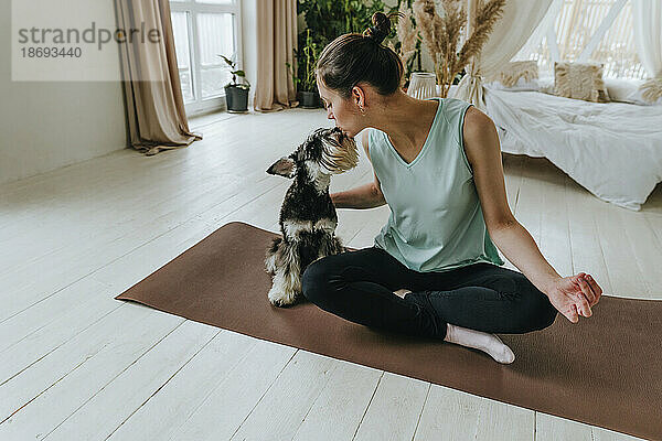 Frau küsst Schnauzer-Hund  der zu Hause auf einer Trainingsmatte sitzt