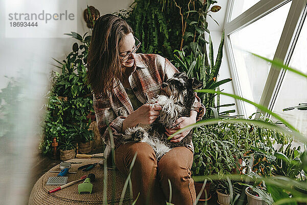 Frau streichelt Schnauzer-Hund  der zu Hause inmitten von Pflanzen sitzt