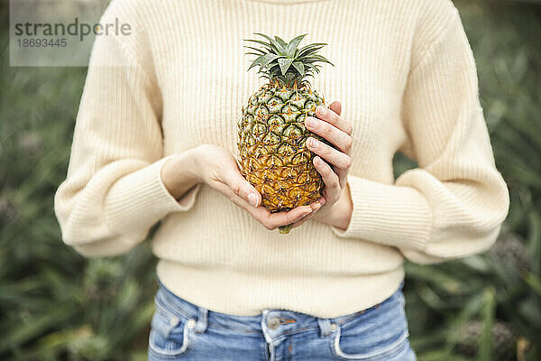 Frau hält frische Ananas in den Händen