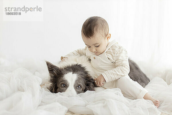Cute boy sitting with Border Collie in front of white wall