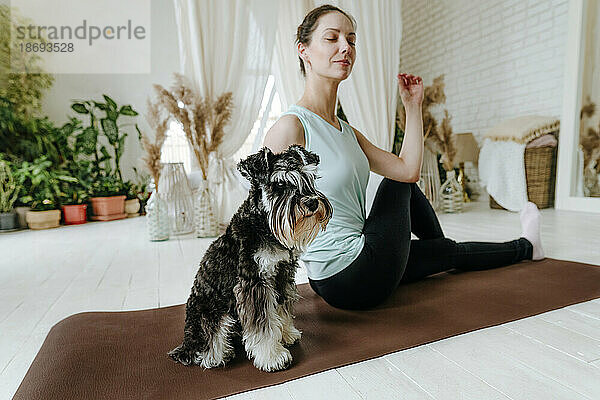 Frau macht Yoga und sitzt zu Hause auf einer Trainingsmatte neben einem Schnauzer-Hund