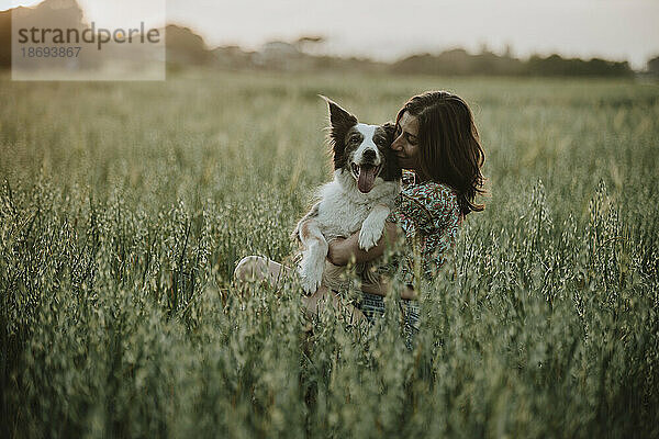Woman embracing and kissing border collie dog in field at sunset