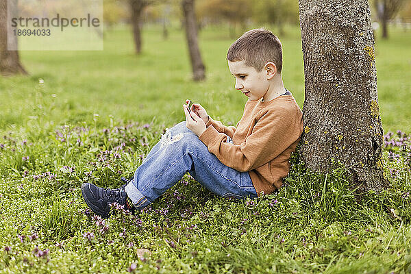 Junge sitzt am Baum im Park und benutzt Smartphone