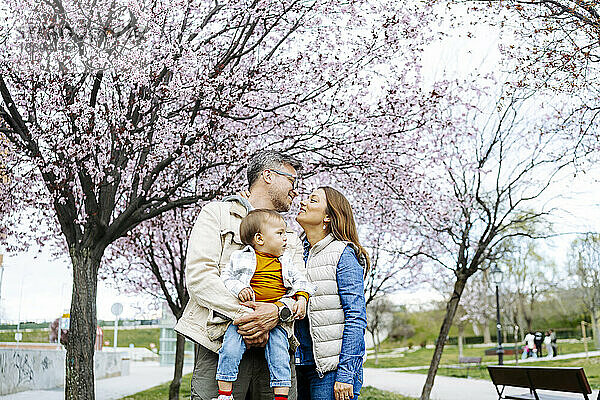 Vater und Mutter mit Sohn stehen unter Kirschblütenbaum