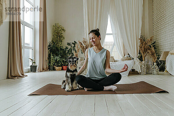 Lächelnde Frau praktiziert Yoga mit Schnauzer-Hund auf einer Trainingsmatte zu Hause