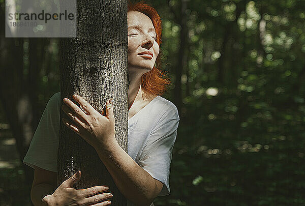 Frau umarmt Baum im Wald an sonnigem Tag