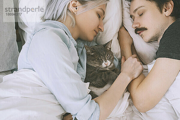 Paar mit Katze schläft zu Hause im Bett