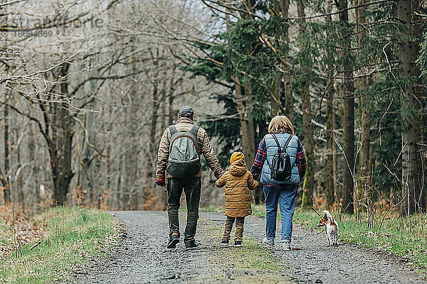 Junge mit Großeltern und Hund geht auf Fußweg im Wald spazieren