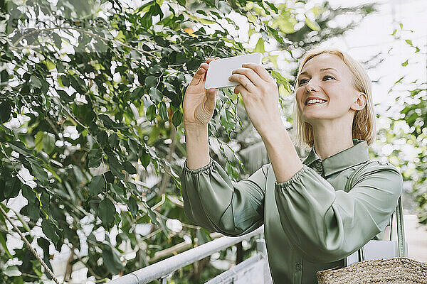 Glückliche Frau fotografiert Pflanze per Smartphone