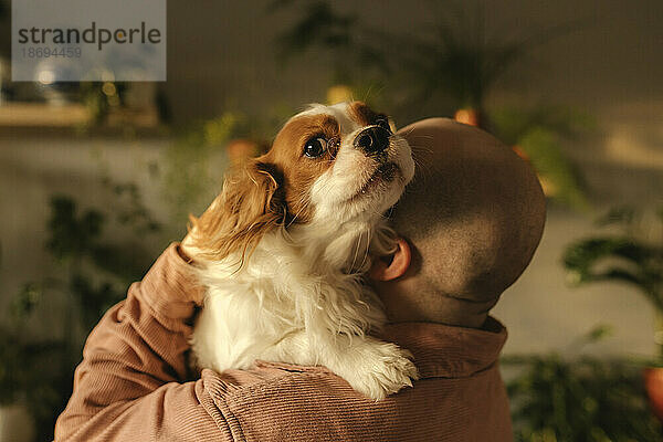 Man carrying spaniel dog on shoulders at home