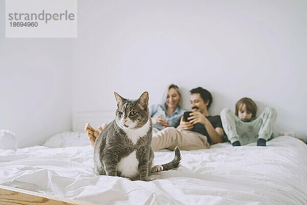 Katze sitzt mit Familie im Bett und nutzt Smartphone im Hintergrund zu Hause