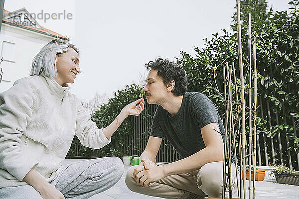 Lächelnde Frau und Mann riechen Blätter auf der Terrasse