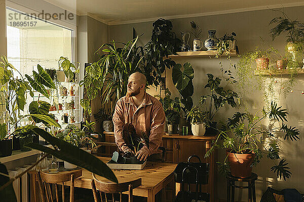 Mann pflanzt zu Hause Zimmerpflanze in Blumentopf